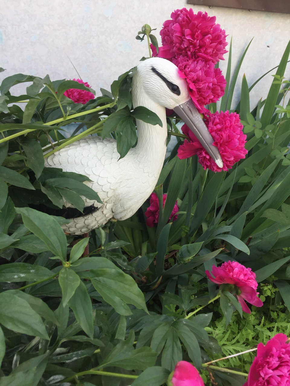 Декоративная территория